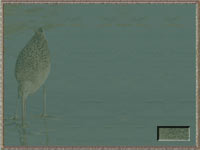 Snipe-1