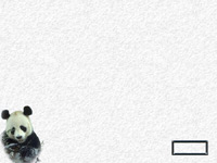 Snowbear